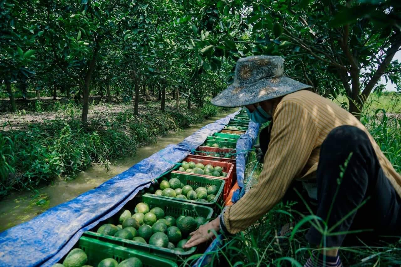 1769700918_cam-sanh-tam-binh-1665760886321779338306 (1).png